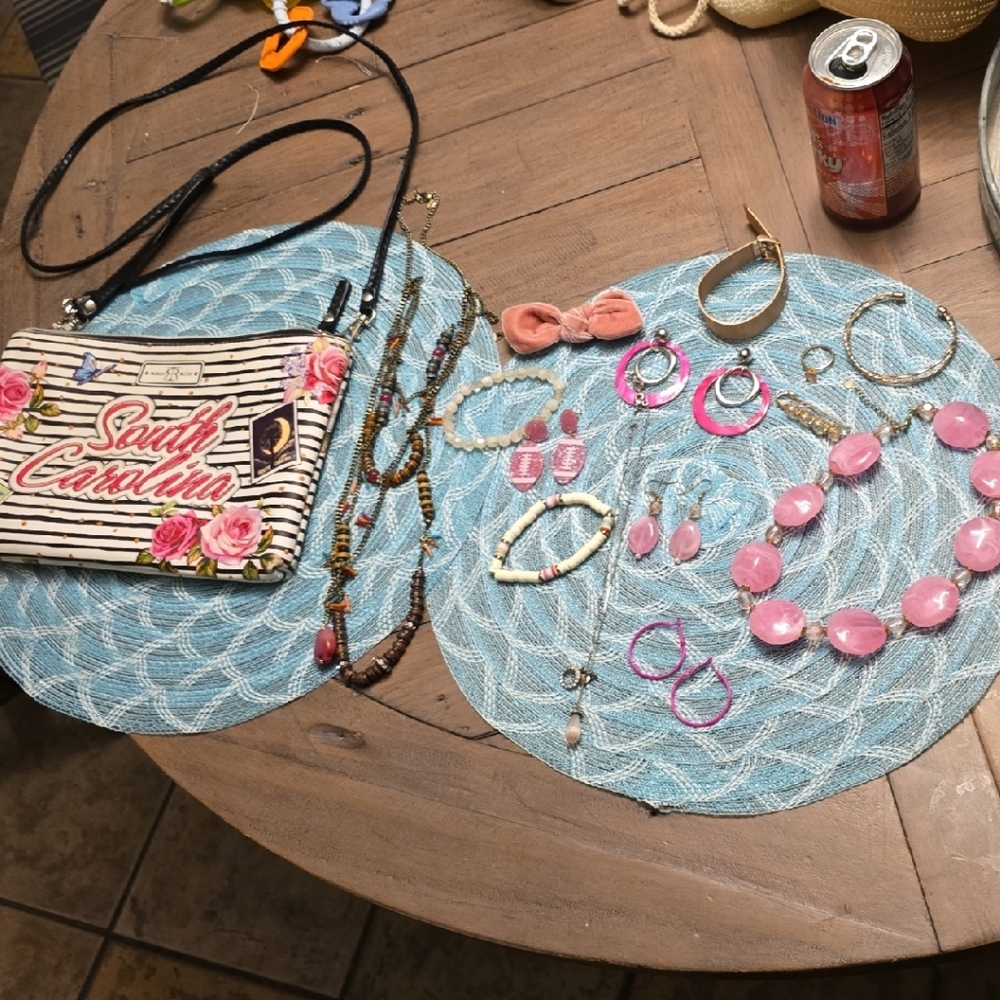 South Carolina Hand Bag W/ Matching Jewelry Set. All Included!
